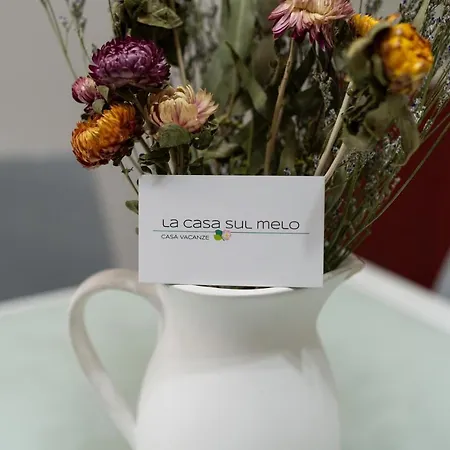 Casa vacanze La Casa Sul Melo Matera